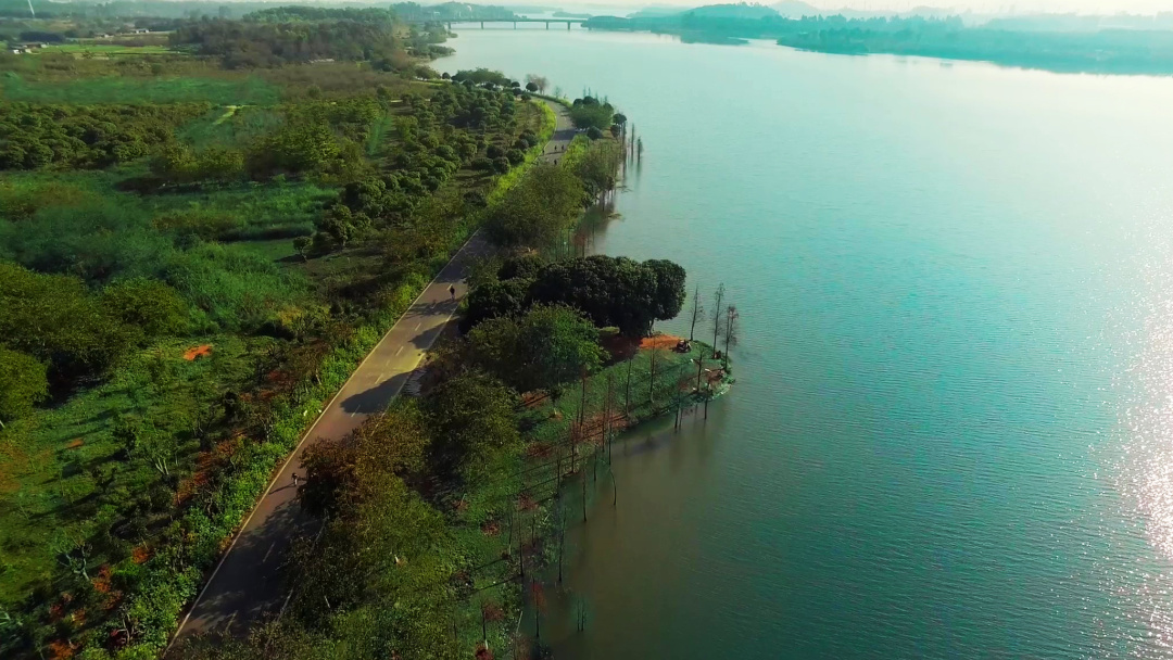 图片来源视觉中国 在东莞 竟然有这么一个生态公园 不仅能亲密接触大