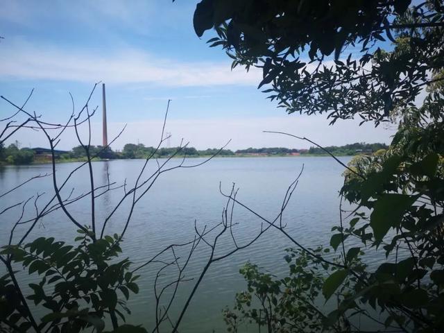 附近北岭林场医生张幼玲听说,小孩尸体在村西北面的下马塘水库里被