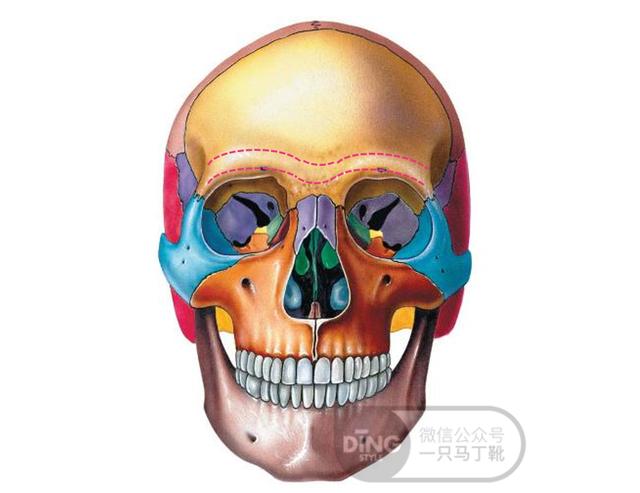 原创童瑶也是短圆眼,为什么不像赵丽颖那样把眼睛化长化精致?
