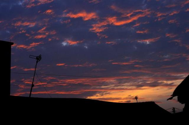 "夕阳无限好,只是近黄昏",这两句描绘的意境到底有多美?