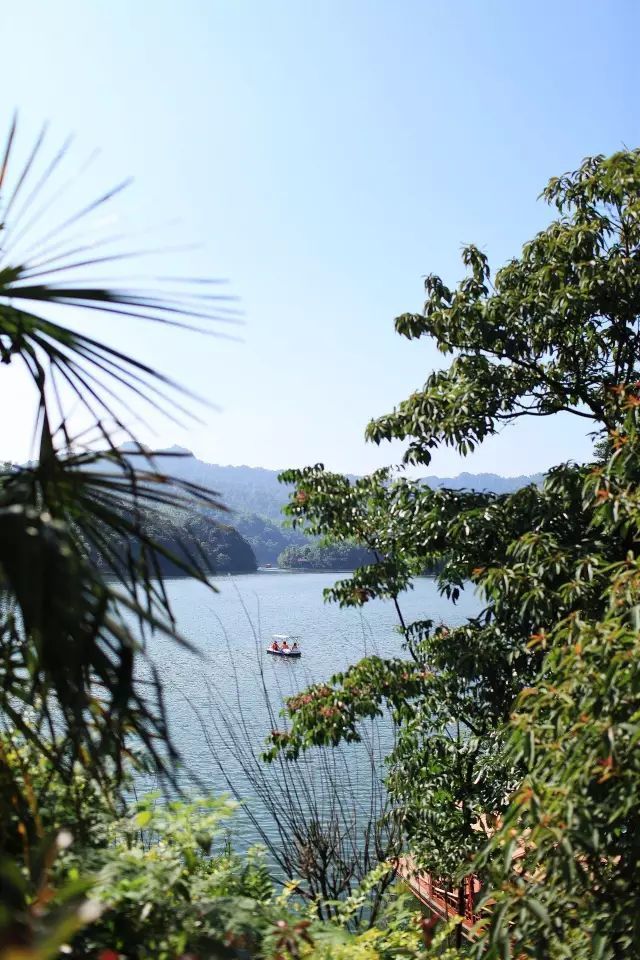 重庆退休夫妻夏季选择天岛湖避暑度假,观湖泊森林蓝天白云!