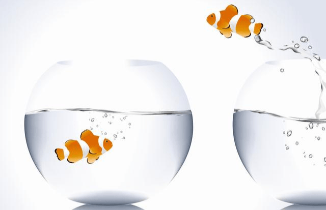 结合了《文心雕龙》里关于意象的理论和朱建军老师的意象对话技术,感