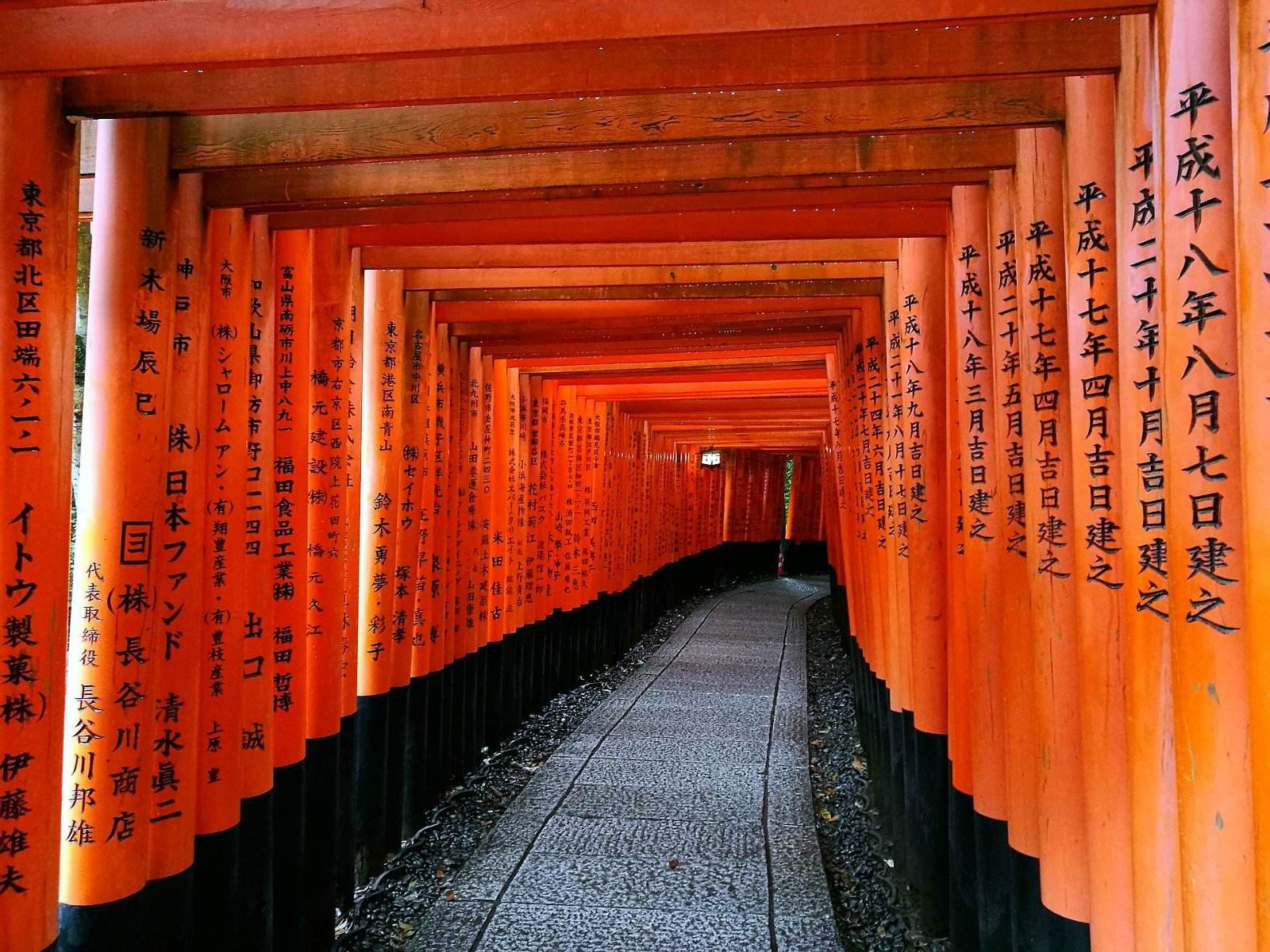 日本——千本鸟居-搜狐大视野-搜狐新闻
