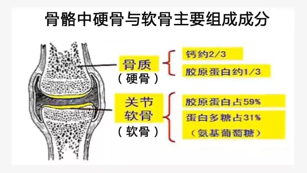 由於人體骨膠原的流失,關節軟骨的網狀結構鬆弛甚至發生斷裂,使得蛋白