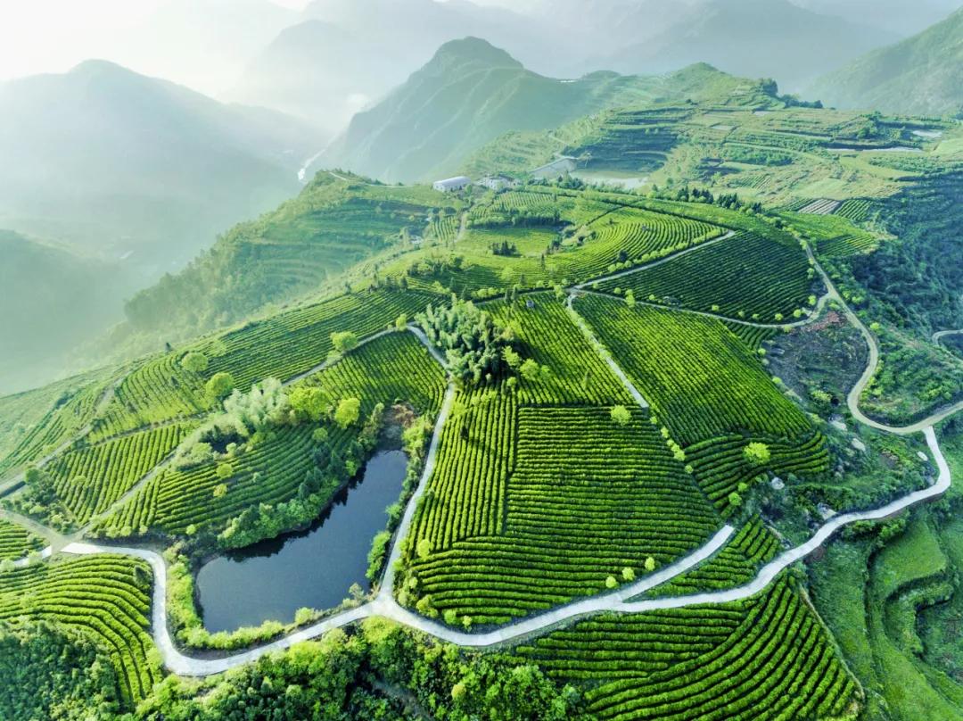 书记(县长)谈生态环保:以"名县美城"建设为统领,深入践行"两山"理念