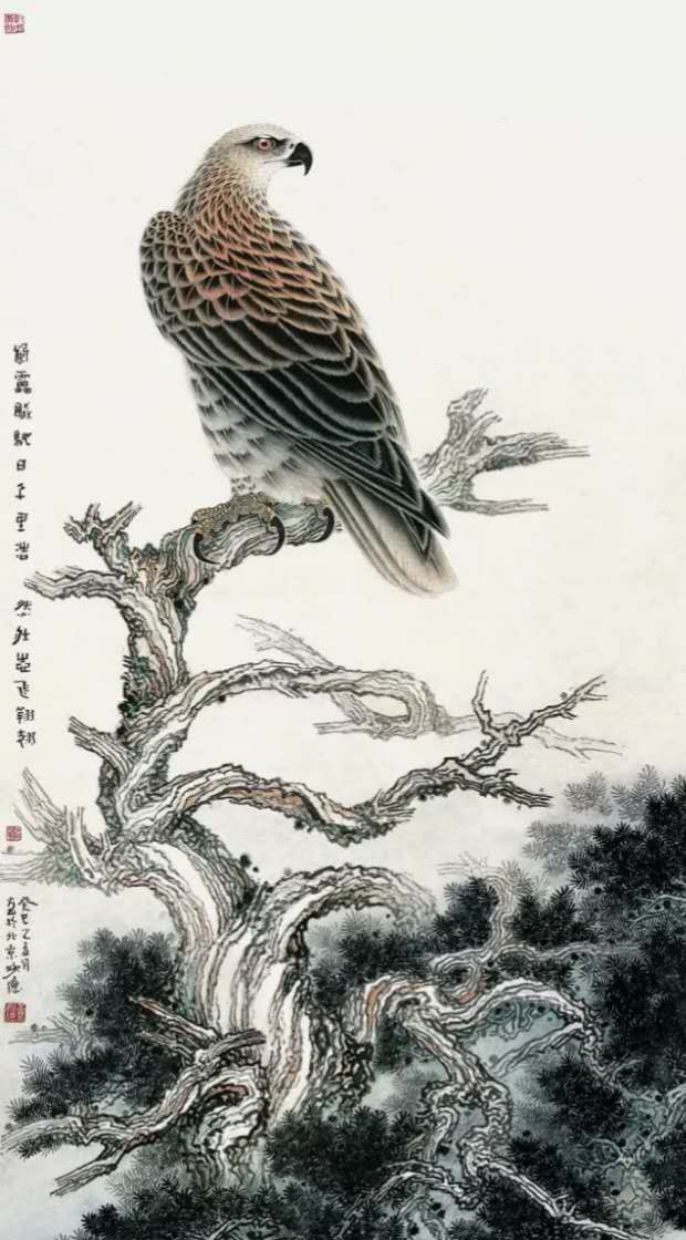 中国鹰——黄妙德先生作品展