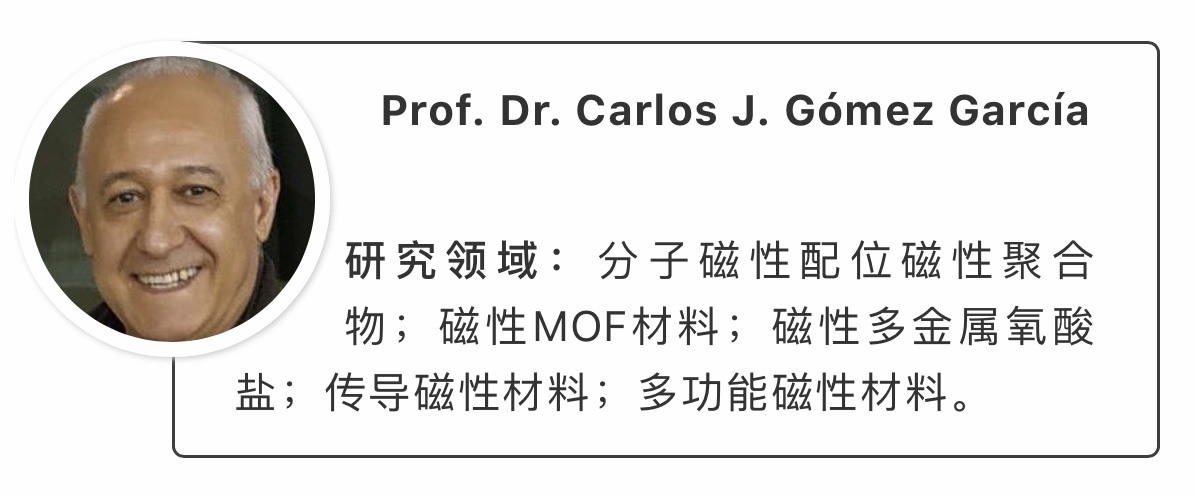 mdpinewsmagnetochemistry收穫第一個影響因子