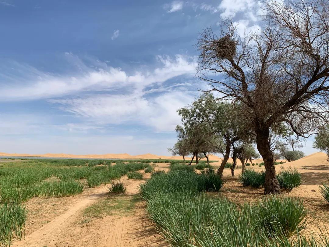 但是我们却很少让孩子们去尝试实现自己天马行空的想象,而我们的沙漠