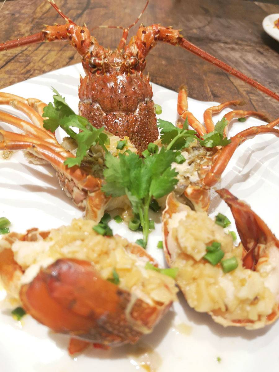澳洲龙虾 餐桌图片