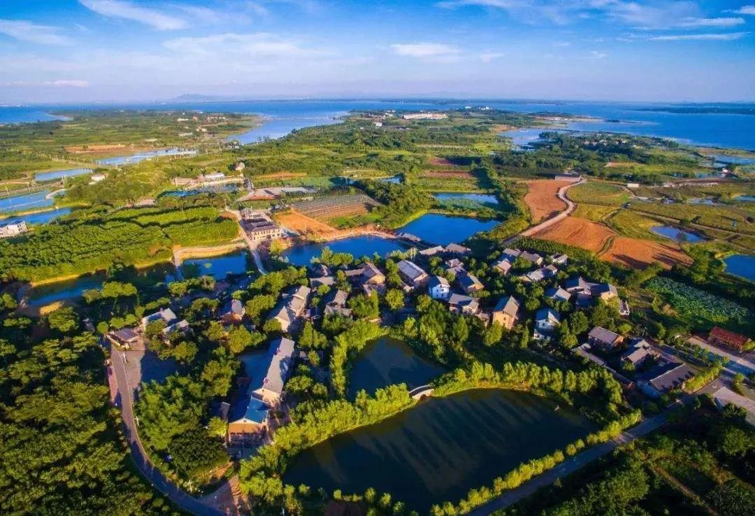 官宣丨湖北全省的a级景区对全国游客免门票!你准备好了吗?