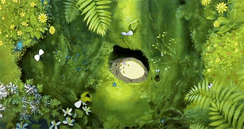 500_265gif 动态图 动图