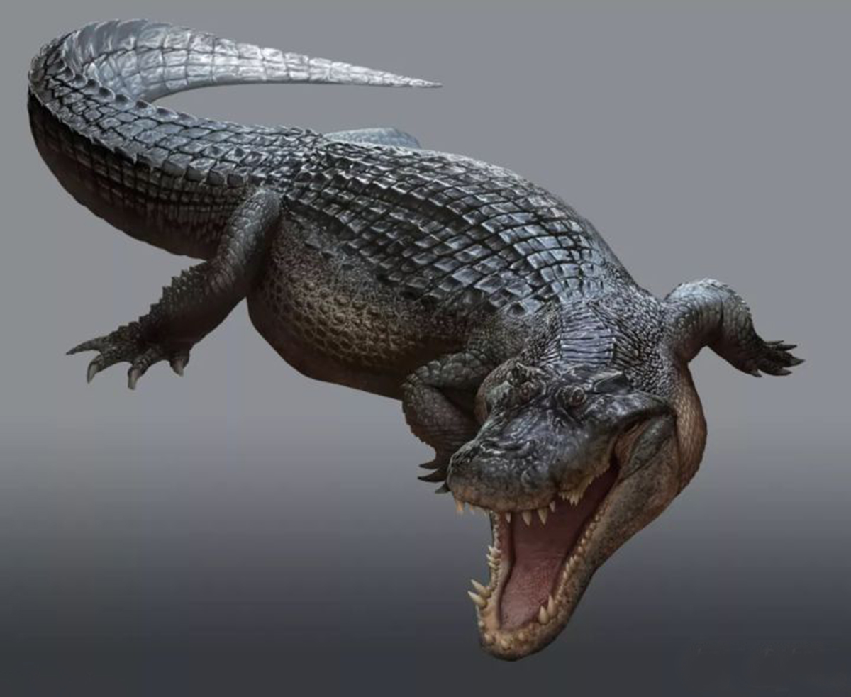 奇闻:恐鳄,能吞噬暴龙的史前巨鳄,身长可达15米,体重可达9吨