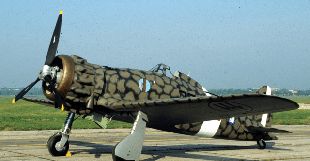 二战意大利战机盘点,战斗机性能比之英德并不逊色!_手机搜狐网