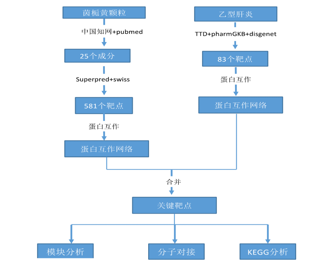 网络药理学流程图图片