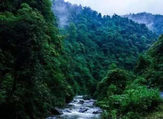 沁瀟湘源自武陵山羅霄山連片特困地區的高山密林好水