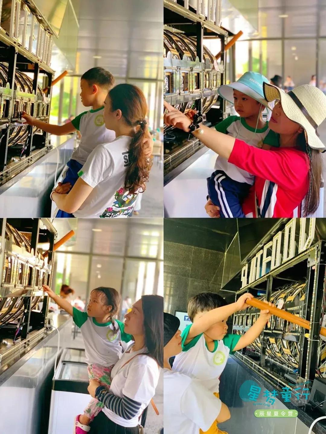 辰星向阳花们的懒坝艺术之旅