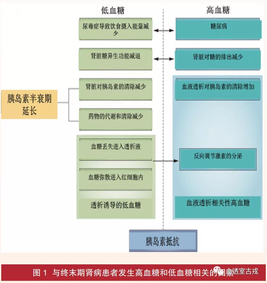 血液透析相关低血糖及糖代谢紊乱