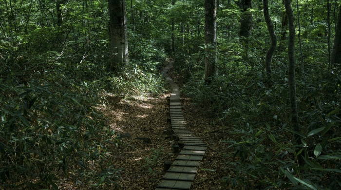 同一个家电的8月：零售商战火烧旺，品牌商却主动减速-家电圈官网