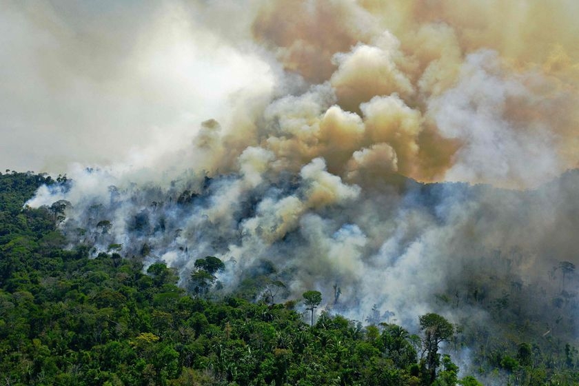 巴西亚马孙雨林火灾频发 热带雨林损毁情况严峻