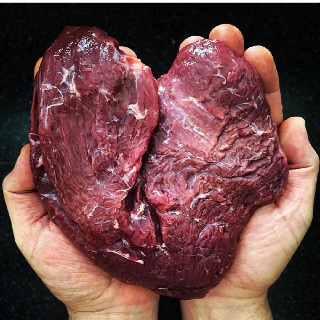 吃鸵鸟肉的人不多,为啥还那么多人养?原来还有这些用途_手机搜狐网