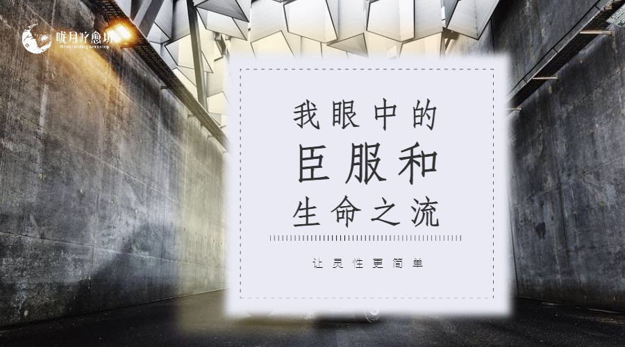 我眼中的臣服和生命之流