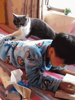 286_384竖版 竖屏gif 动态图 动图