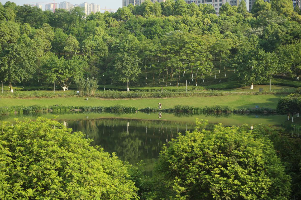 重庆中央公园 实景图片