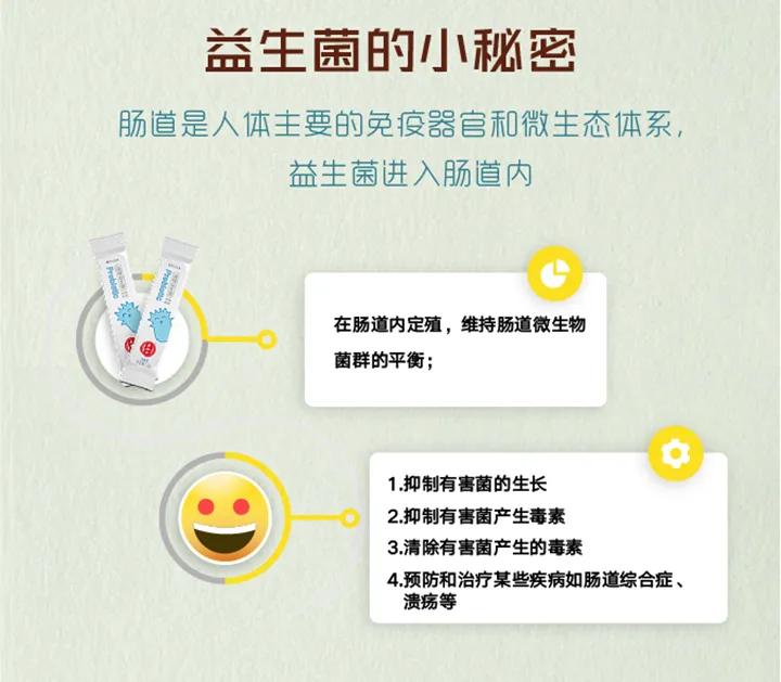 寿仙谷晶球益生菌 | 维持肠道健康 调节肠道微生态环境