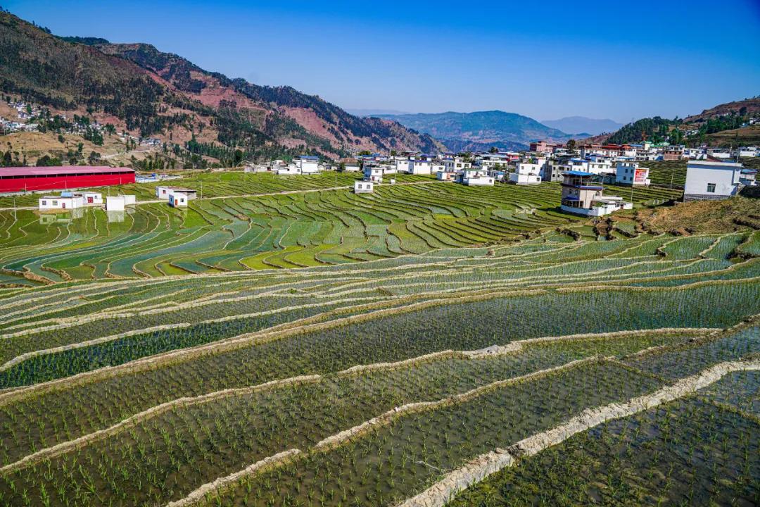 田园画卷甘洛普昌阿尔梯田春秋时节美如画