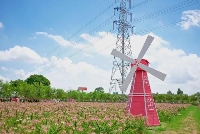 八月盛夏,抓住暑假尾巴,來盈香生態園玩啊