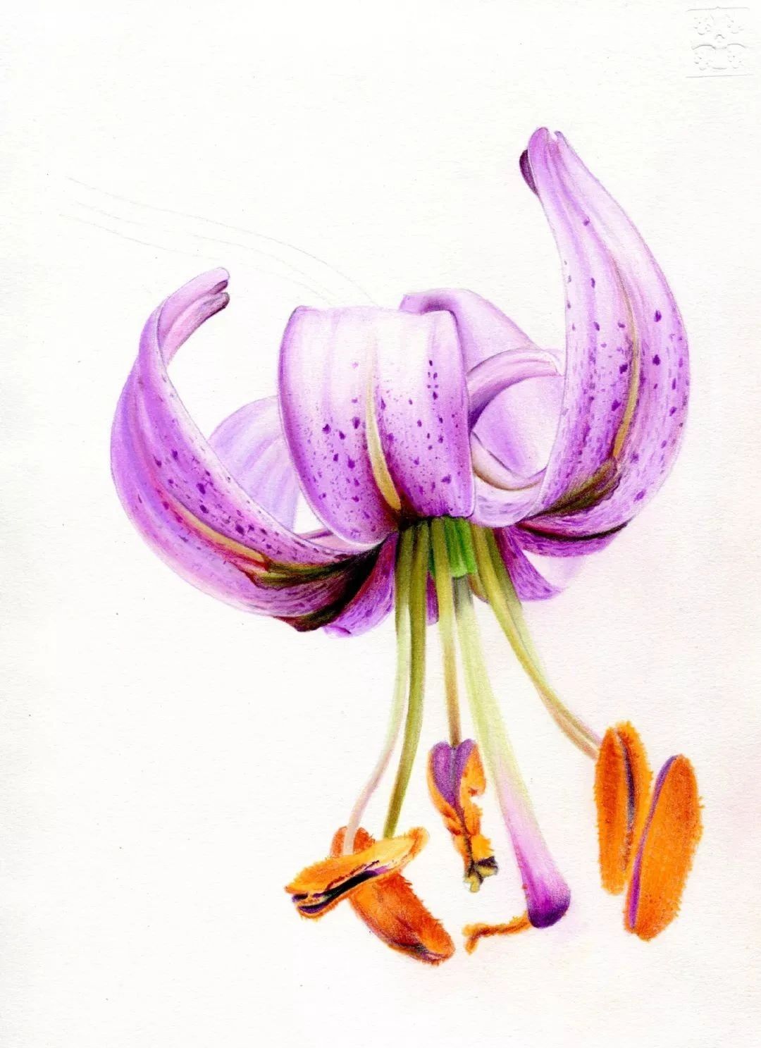 【推荐】适合新手临摹的彩铅画|初学者彩铅画(附全套视频教程下载)