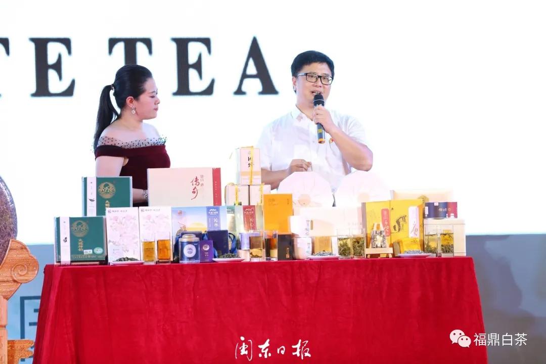 开市之夜福鼎代市长周春海为你揭秘神奇的福鼎白茶