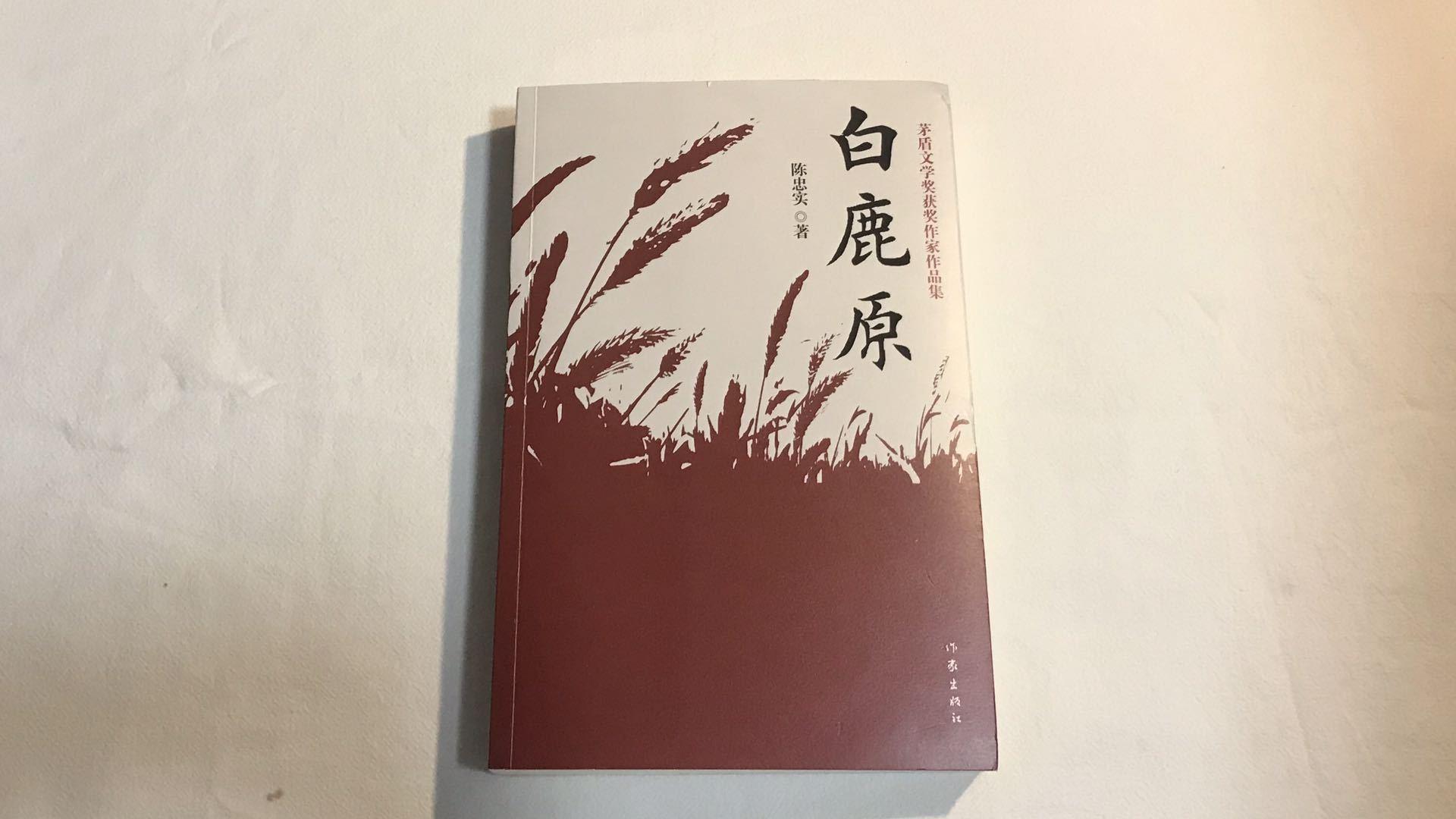 从清末的封建帝制到解放初期的政治斗争,《白鹿原》不只是小说