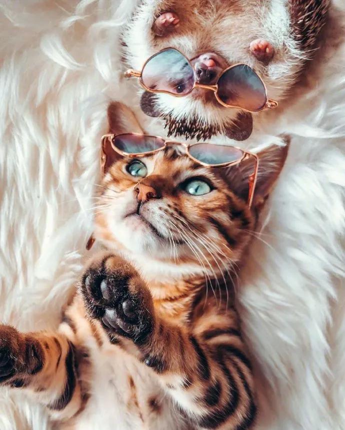 图片[4] - 【xizi被窝段子20200828】别跟往事干杯 往事都快吐了 - xizi