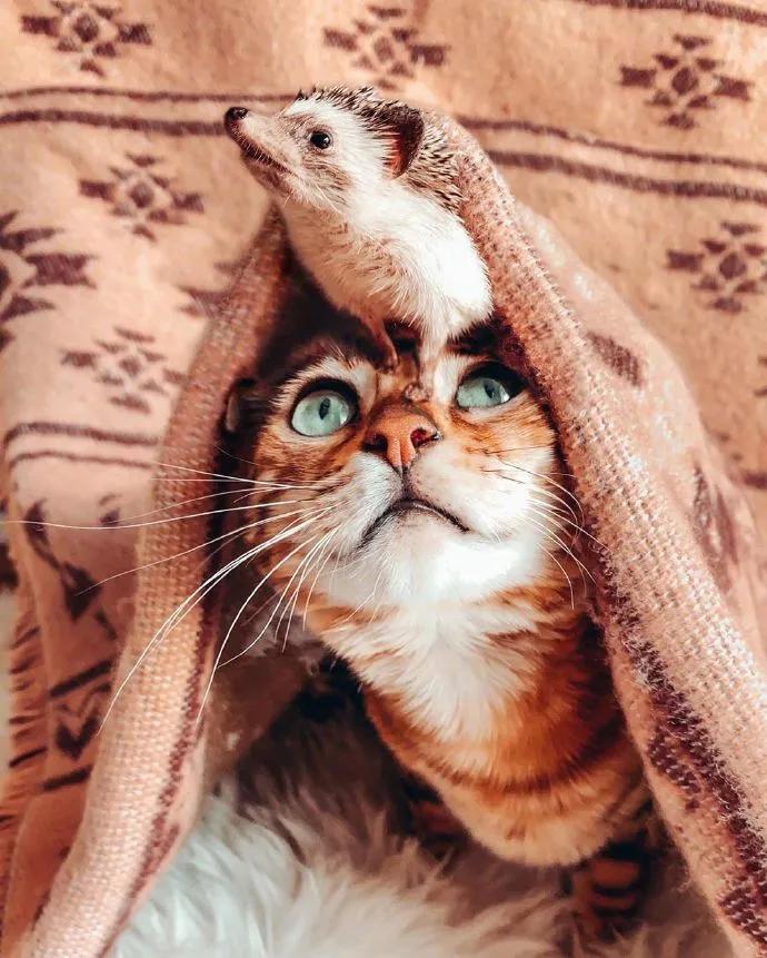 图片[7] - 【xizi被窝段子20200828】别跟往事干杯 往事都快吐了 - xizi