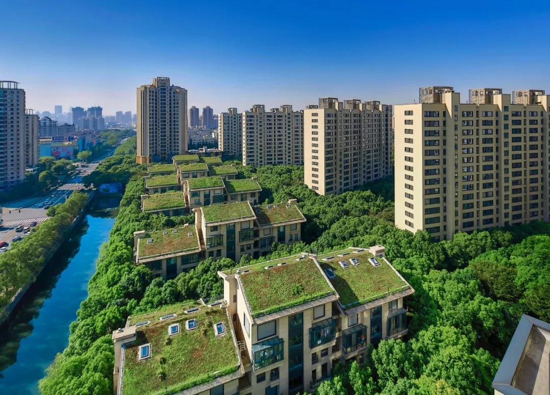 上海【中鹰黑森林三期】非常震惊!究竟怎么回事!