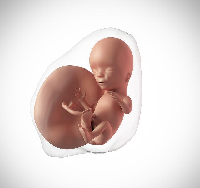 怀孕期间,孕妇的这些行为会让胎儿不高兴,有则改之无则加勉_感觉