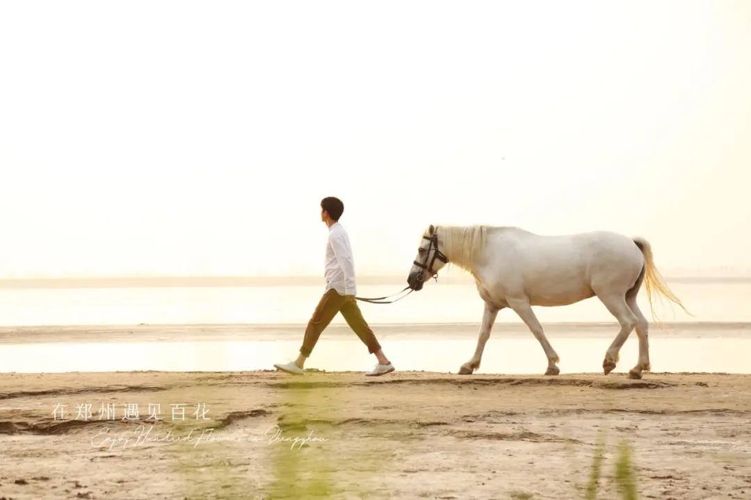 官宣刘昊然担任2020年中国金鸡百花电影节形象大使