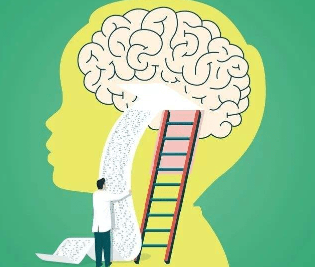 这不怪孩子,只怪理智脑发育太慢!