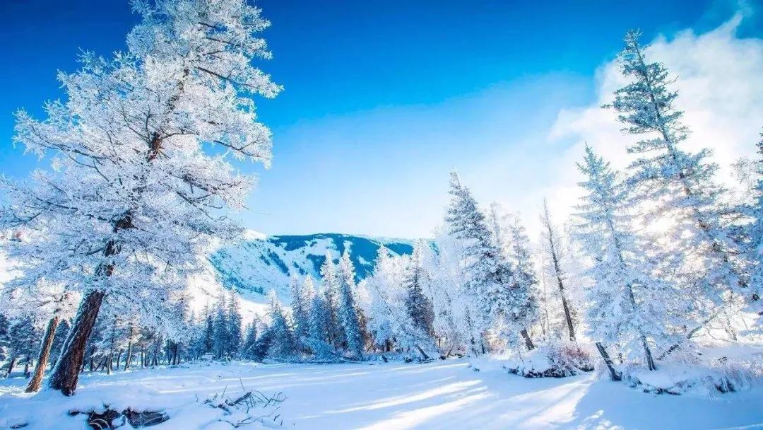 有一种冬天叫雪都阿勒泰