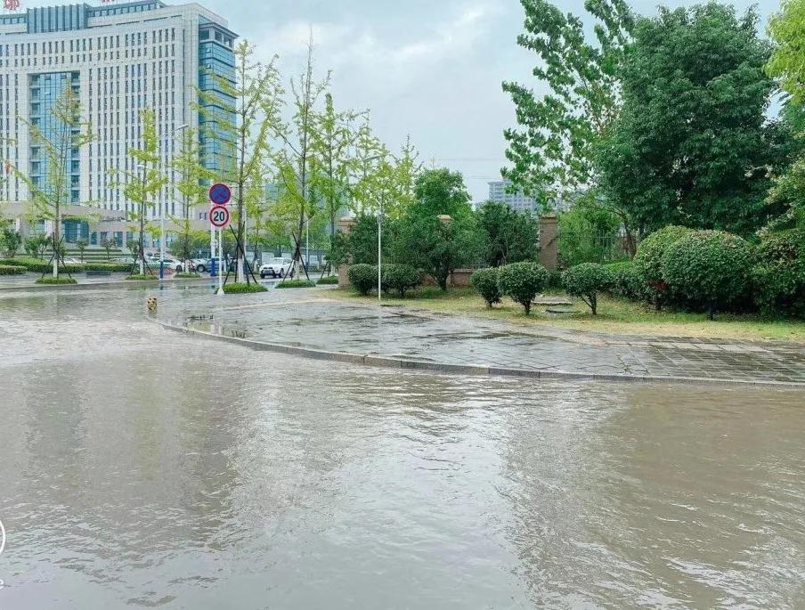 突如其來的暴雨外面瓢潑大雨拉開窗簾一看就聽見外面嘩嘩嘩的聲音小編