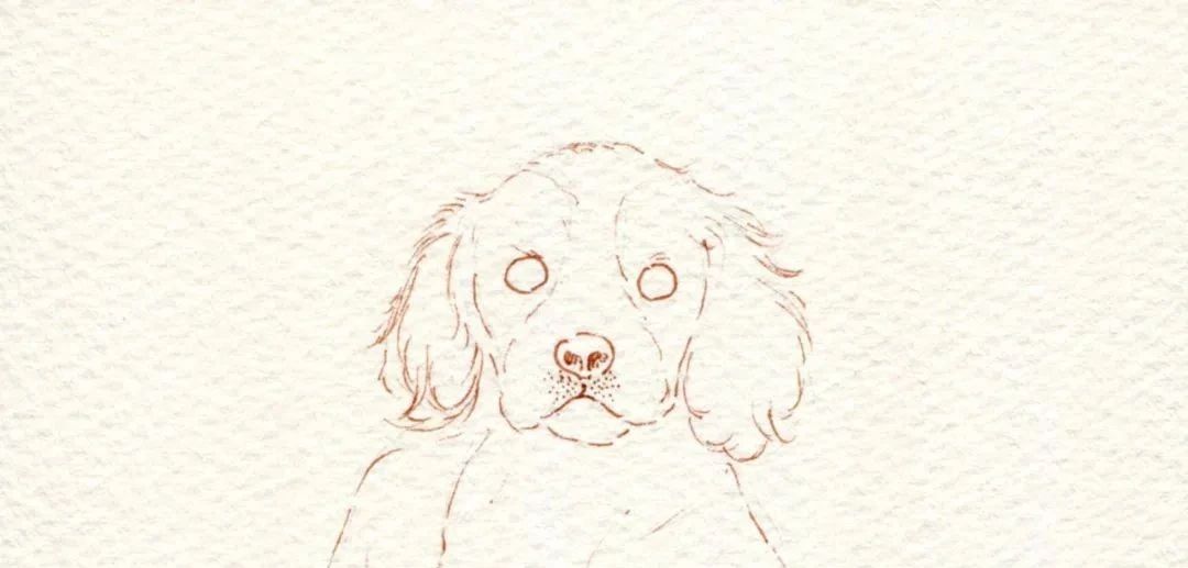 【第2步】:用黑色针管笔画出狗狗的眼睛,注意眼睛上的高光,同时