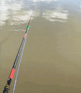 261_298gif 动态图 动图