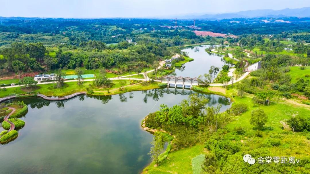 公園綠意盎然 乾淨澄澈楊溪谷溼地公園也欣賞一下金堂這個網紅公園