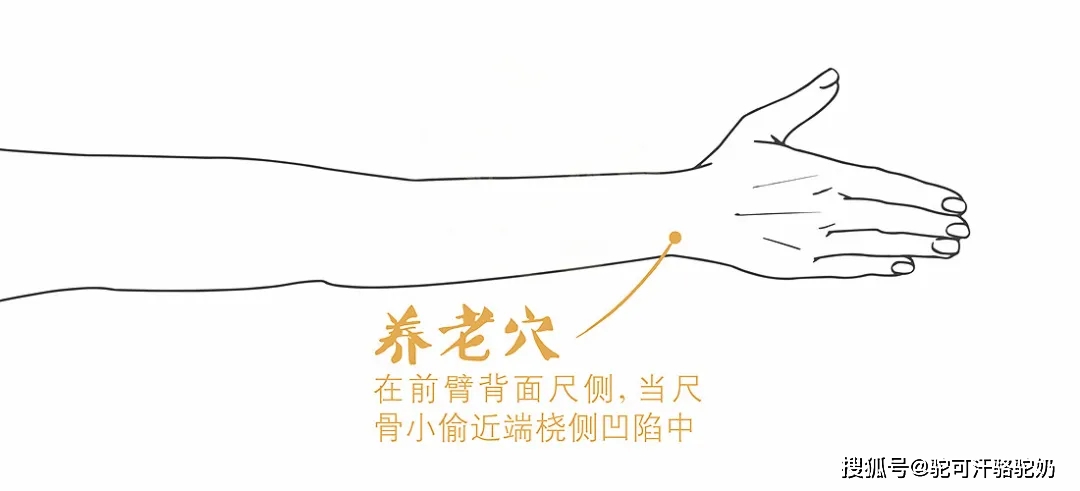手腕上有一穴位,常按揉可舒筋通络,缓解头晕眼花_养老