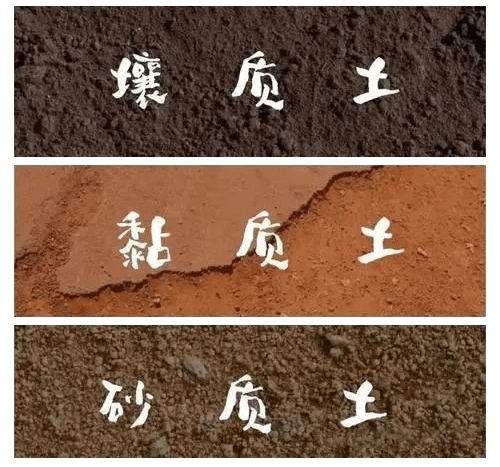 了解土壤质地与肥力的关系,让你更清楚什么样的土质用什么管理