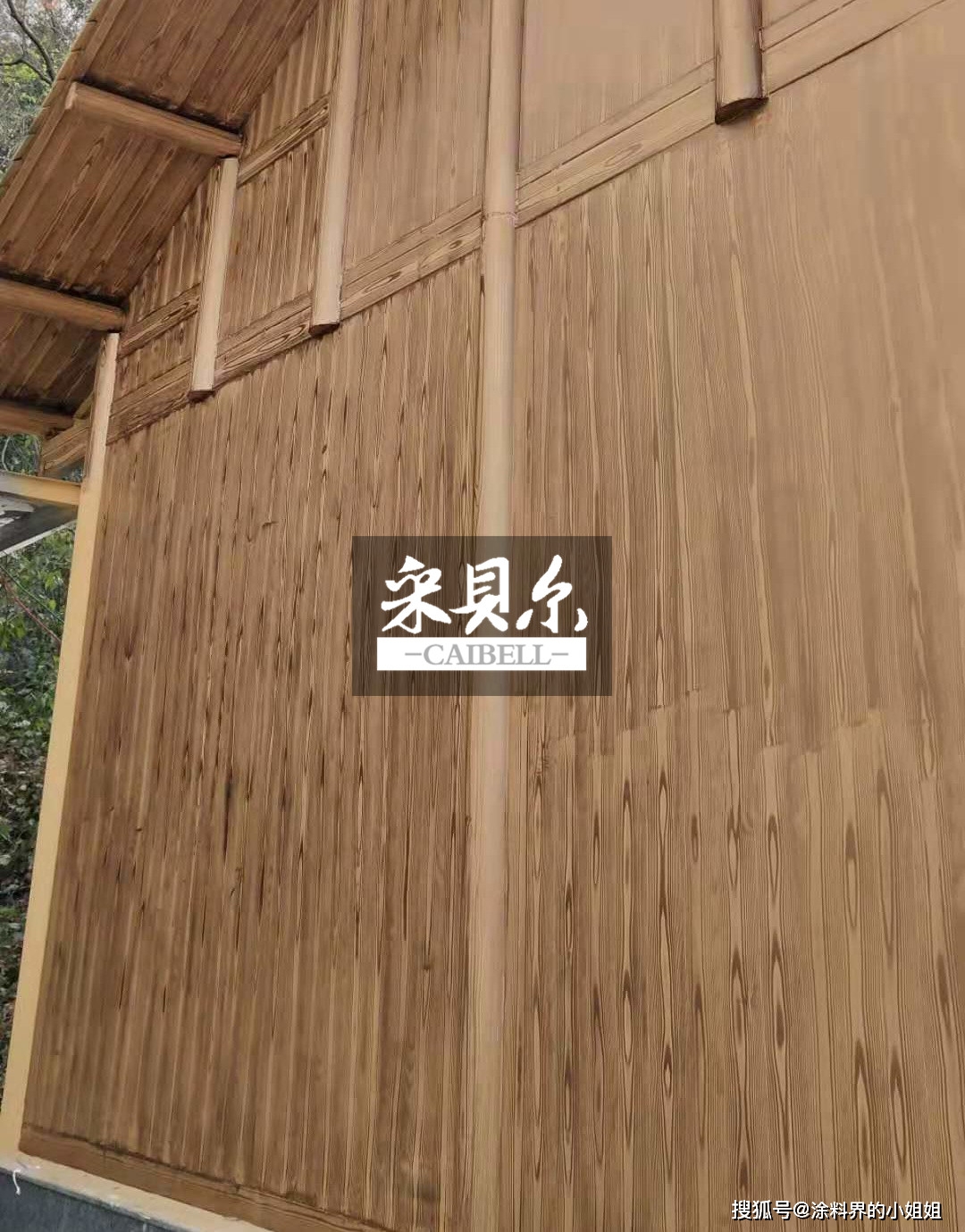 湖南木纹漆-搜狐大视野-搜狐新闻