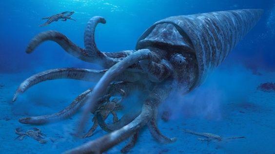史前最大的海洋生物图片