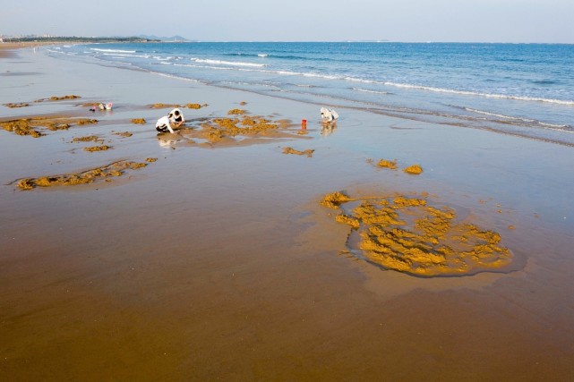 還想去沙灘打卡,來青島白浪逐沙灘吧,去體驗曼妙的海濱風光