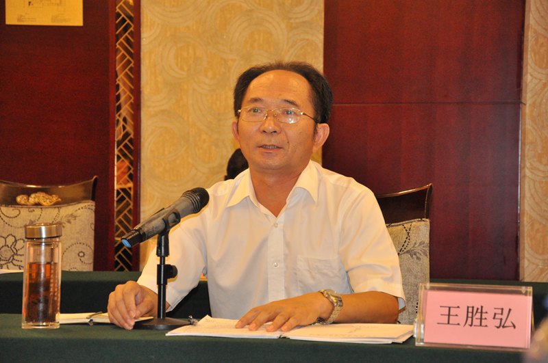 摄影 王海珠)(图为湖北省文化产业商会会长雷世斌介绍协助推进数字